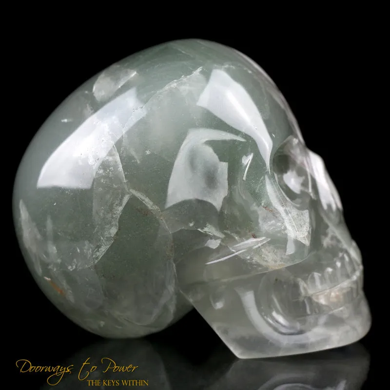 Chlorite in Quartz Crystal Skull