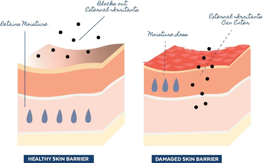 Replenish Ceramides   Blueberry Barrier Repair Serum