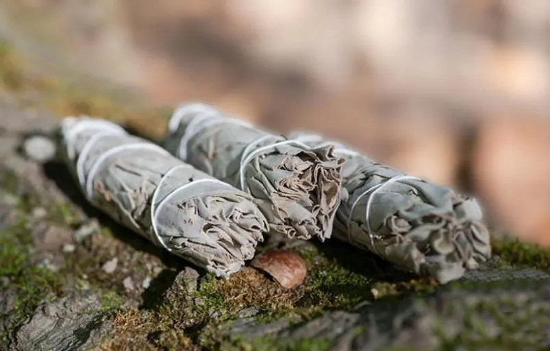 Smudge Kit | Sage Bundle, Palo Santo Incense Sticks, Selenite Wand, Feather & Abalone Shell