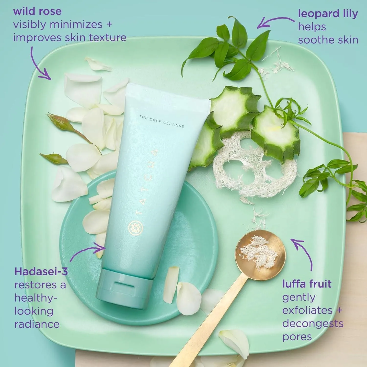 TATCHA the Deep Cleanse | Deep, Gentle Exfoliating Cleanser, Lifts Dirt, Minimizes Excess Oil & Unclogs & Tightens Pores